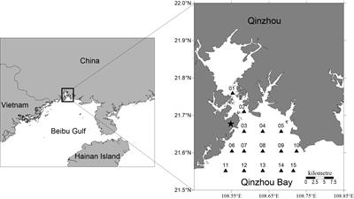 Succession and controlling factors of phytoplankton assemblages during a period with recurrent outbreaks of Phaeocystis globosa blooms in Qinzhou Bay, China